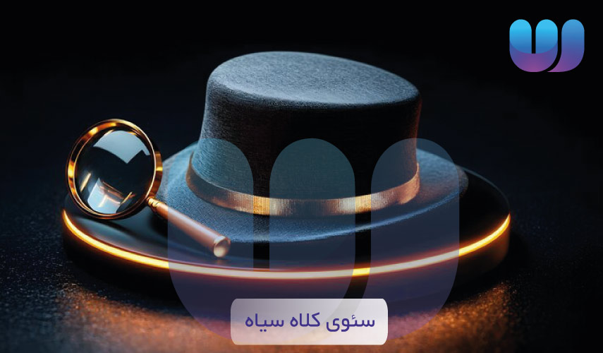 سئوی کلاه سیاه